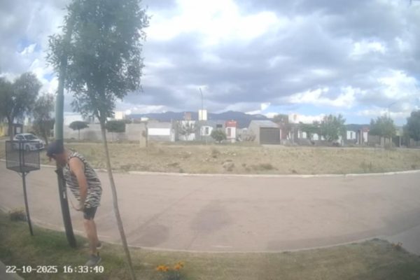 Denuncian a un hombre por daños en el tendido eléctrico de la luminaria pública en La Punta