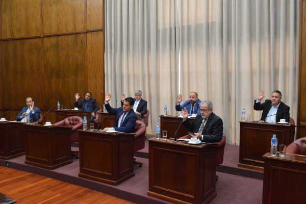 El Senado dio media sanción a la reducción de la feria judicial en San Luis