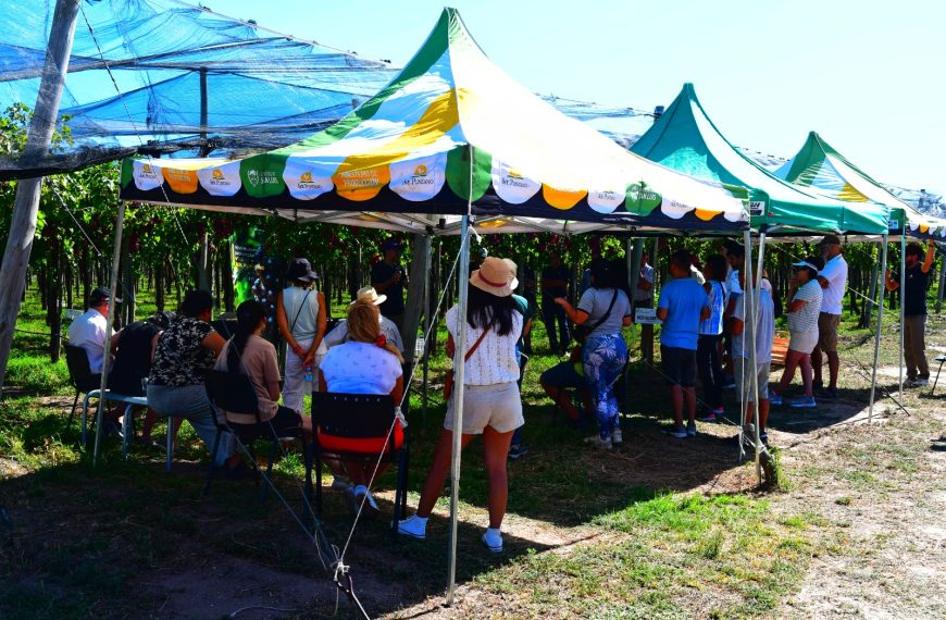 Sol Puntano abre sus puertas con recorridos productivos y venta directa durante enero