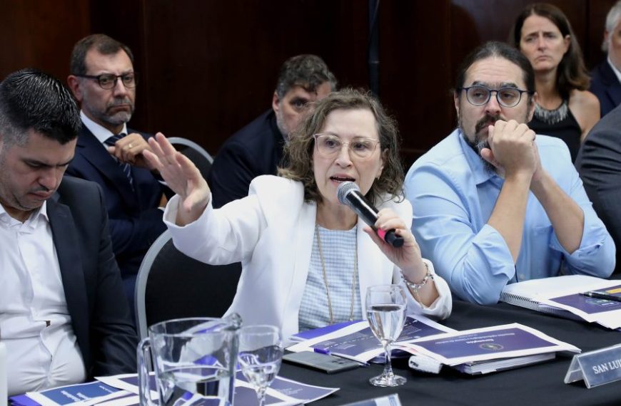 San Luis participó del primer encuentro del Consejo Federal de Salud 2026