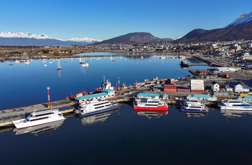 Un equipo del Malbrán llegó a Ushuaia para detectar la posible circulación de hantavirus en reservorios naturales