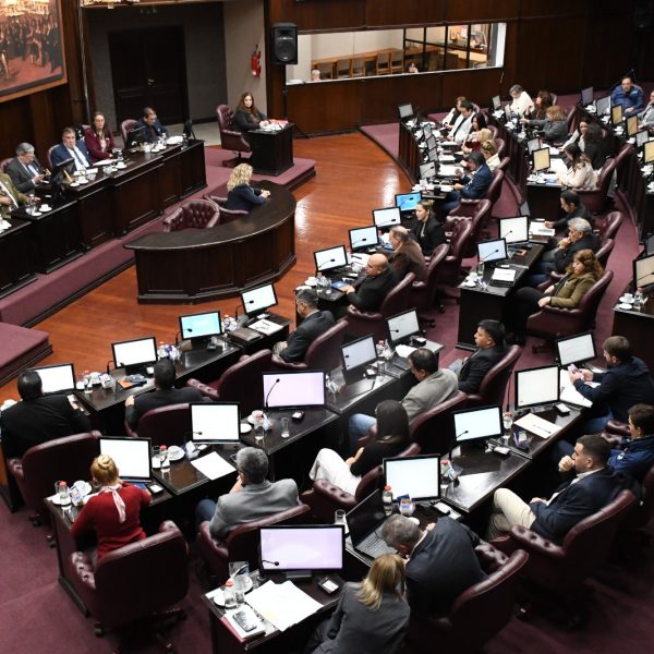 Dieron media sanción al proyecto de ley que agiliza los juicios orales