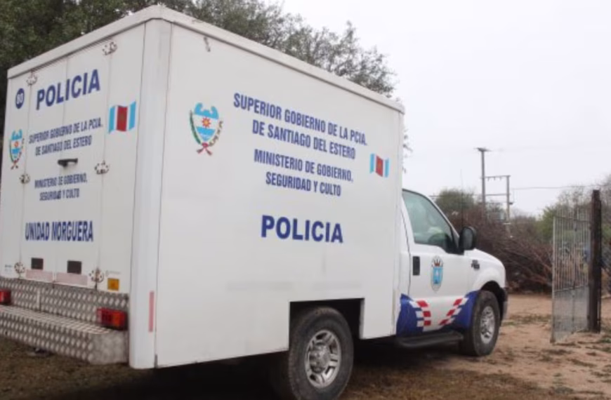 Murió un hombre de 91 años tras ser atacado por un enjambre de abejas en una zona rural de Santiago del Estero