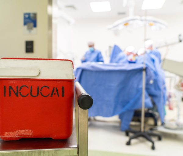El Sistema Público de Salud realizó tres nuevos trasplantes en el Hospital ‘Carrillo’