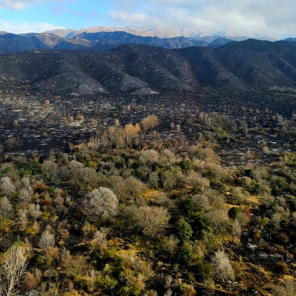 El Gobierno trabaja en la contención del incendio forestal