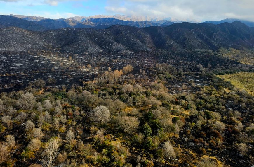El Gobierno trabaja en la contención del incendio forestal