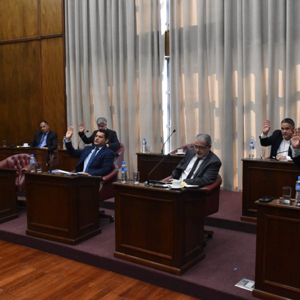 El Senado dio media sanción al Régimen Integral de Promoción del Desarrollo Económico y del Empleo