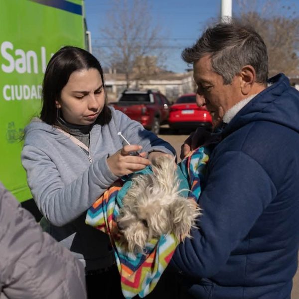 Actividades de la Municipalidad para esta semana