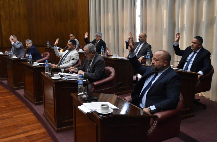 Dieron media sanción al proyecto de necesidad de reforma parcial de la Constitución provincial