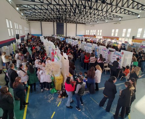 Innovación y creatividad: 294 proyectos destacados llegan a la etapa provincial
