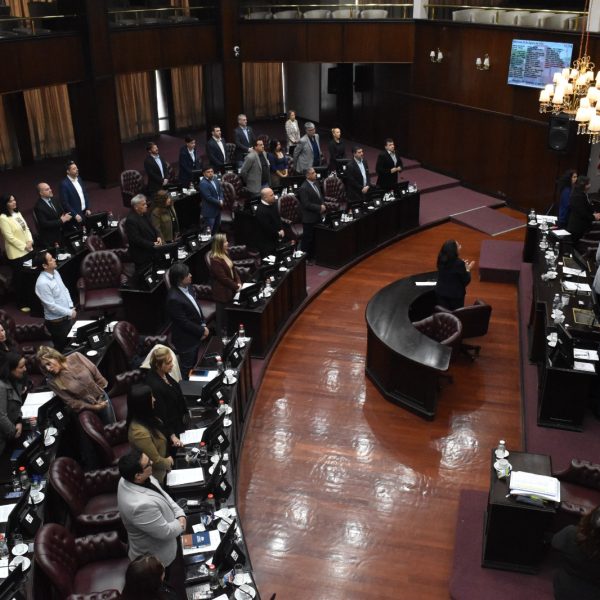 Diputados dio media sanción al proyecto de ley que crea el Régimen de Consorcios Camineros