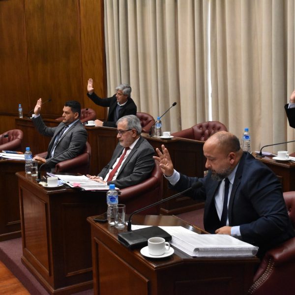 El Senado dio media sanción al Plan Maestro de Energía