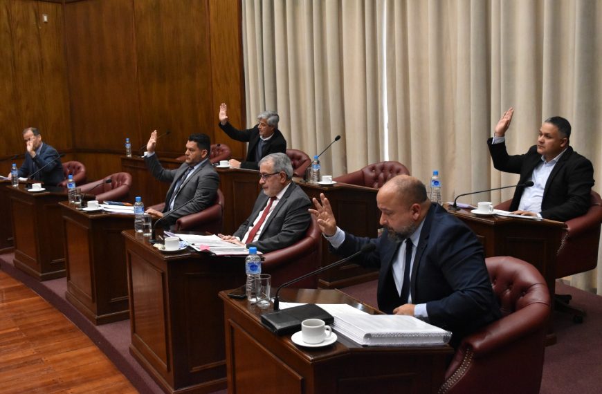 El Senado dio media sanción al Plan Maestro de Energía