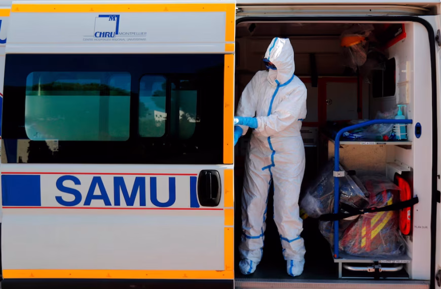Muere en Francia la primera persona infectada por el virus Shamonda