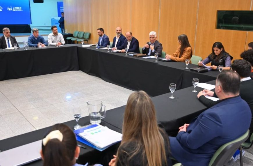 San Luis presentó un plan de inversiones para prevenir incendios forestales