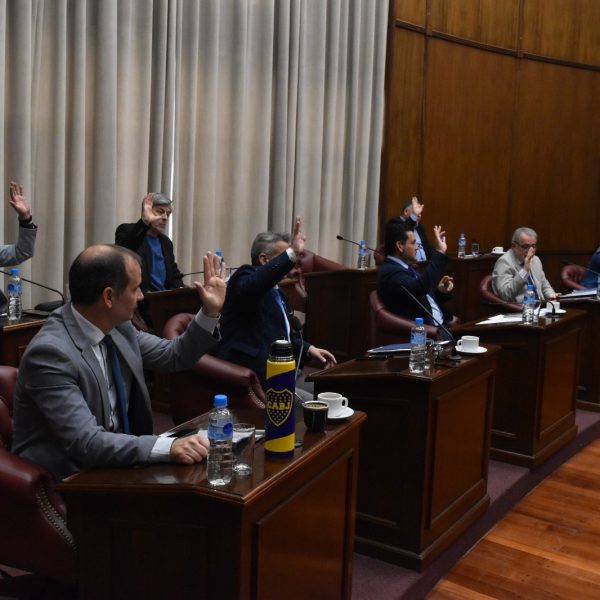 El Senado convirtió en ley el programa de Desendeudamiento Familiar